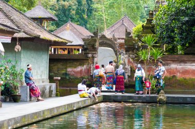 Bali dili insanlar koi carps Tirta Empul Tapınağı, Bali besleme