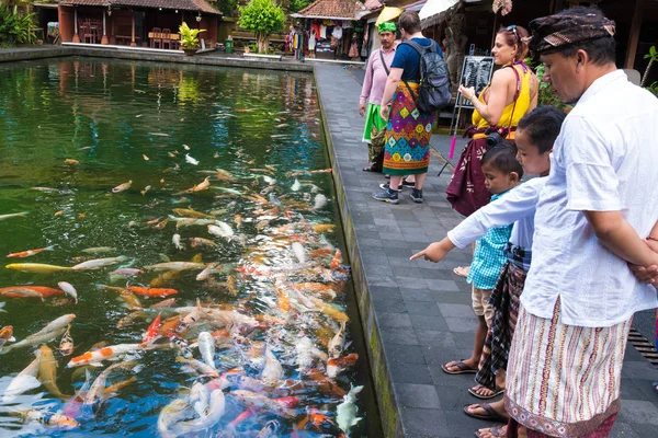 Balinese people feeding the koi carps at Tirta Empul Temple, Bali — Stock Photo, Image