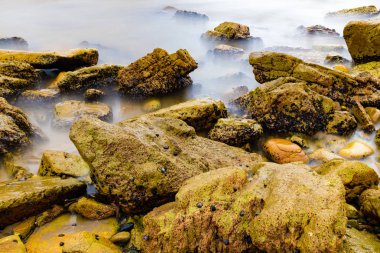 Renkli taşlar ve su elmas kafa coast, Avustralya