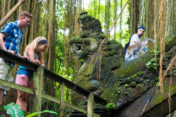 Macaco scimmie a Ubud Sacred Monkey Forest, Bali — Foto Stock