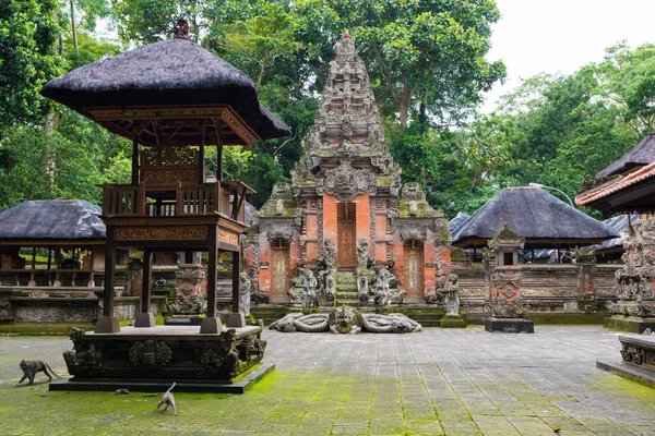 Makaak apen bij Ubud Sacred Monkey Forest, Bali — Stockfoto