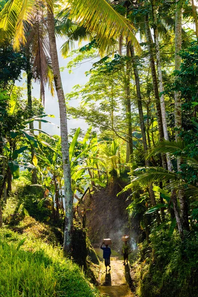 Bali dili kadınlar geleneksel kostümleri dini törenler ve Tanrılar için teklifleri yerine getirmek