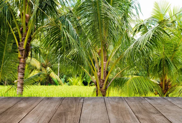Prospettiva tavolo vuoto in legno di fronte a risaie e alberi di cocco — Foto Stock