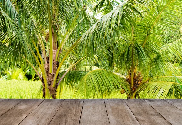 Prospettiva tavolo vuoto in legno di fronte a risaie e alberi di cocco — Foto Stock