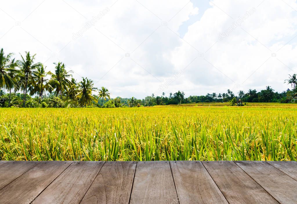 Perspective empty wooden table in front of rice fields and coconut trees