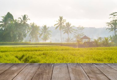 Pirinç tarlaları ve Hindistan cevizi ağaçları önünde perspektif boş ahşap masa