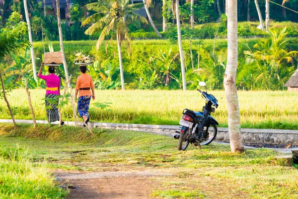 伝統的な衣装でバリの女性を満たす宗教儀式や神への供物 — ストック写真