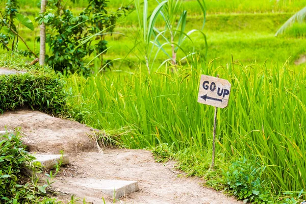 Vy över Tegallalang risterrasser nära Ubud, Bali, Indonesien — Stockfoto