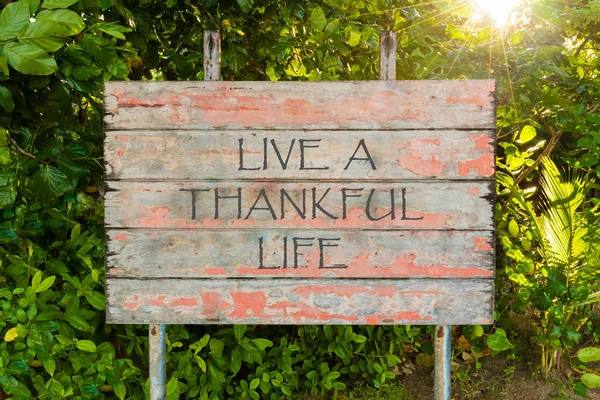 Motiverende citaat Live A dankbaar leven geschreven op oude vintage bord teken in het bos, met zonnestralen in achtergrond. — Stockfoto