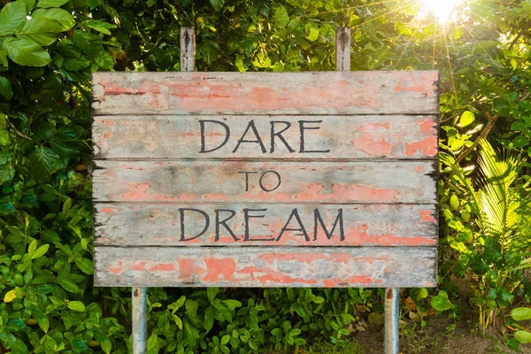 Dare To Dream motivational quote written on old vintage board sign in the forrest, with sun rays in background.