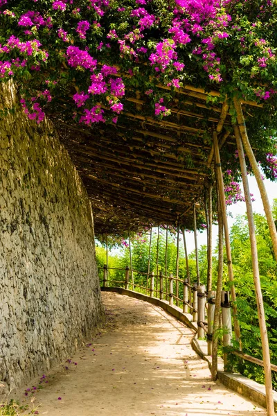 Sentier pédestre couvert de fleurs tropicales et toit en bambou — Photo