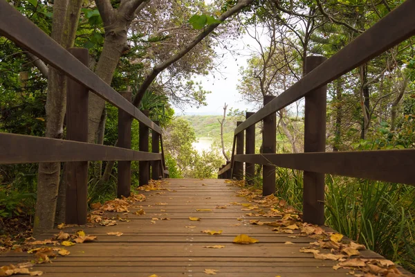 Wooden forest trail boardwalk at Fingal Head, Australia — Stock Photo, Image