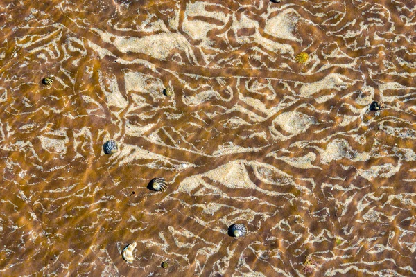 Doğa deniz salyangoz satır yollar su kum ile arka plan.