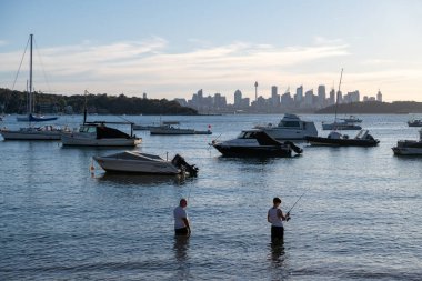 Cbd silueti, Watsons Körfezi 'nden gelen tekneler, Avustralya' nın en eski balıkçı köyü ve muhteşem manzarası, harika parkı ve taze deniz ürünleri ile popüler gelişmekte olan yerel bir körfez manzarası.