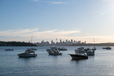 Cbd silueti, Watsons Körfezi 'nden gelen tekneler, Avustralya' nın en eski balıkçı köyü ve muhteşem manzarası, harika parkı ve taze deniz ürünleri ile popüler gelişmekte olan yerel bir körfez manzarası.