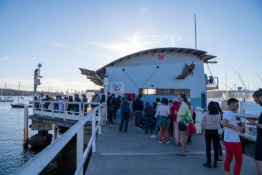 Avustralya 'nın en eski balıkçı kasabası Watsons Körfezi rıhtımına ve muhteşem manzarası, harika parkı ve taze deniz ürünleriyle popüler gelişmekte olan yerel bir körfeze bakın.