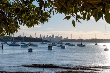Cbd silueti, Watsons Körfezi 'nden gelen tekneler, Avustralya' nın en eski balıkçı köyü ve muhteşem manzarası, harika parkı ve taze deniz ürünleri ile popüler gelişmekte olan yerel bir körfez manzarası.
