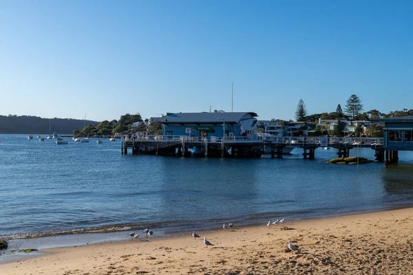 Uitzicht over het strand bij Watsons Bay, Australië 's oudste vissersdorp en een bloeiende lokale inham populair met prachtig uitzicht, heerlijk park en verse zeevruchten — Stockfoto