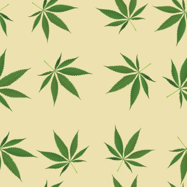 Krem rengi izole edilmiş esrarengiz yaprak illüstrasyonu