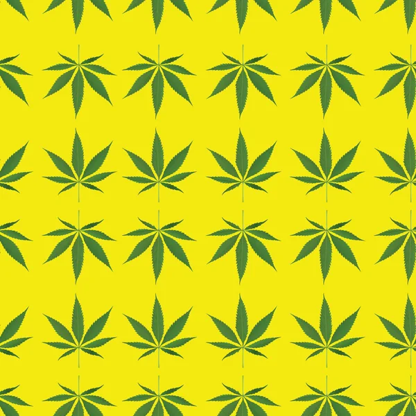 Ilustración Hojas Cannabis Sin Costura Amarillo Aislado Fondo Pantalla Patrón —  Fotos de Stock