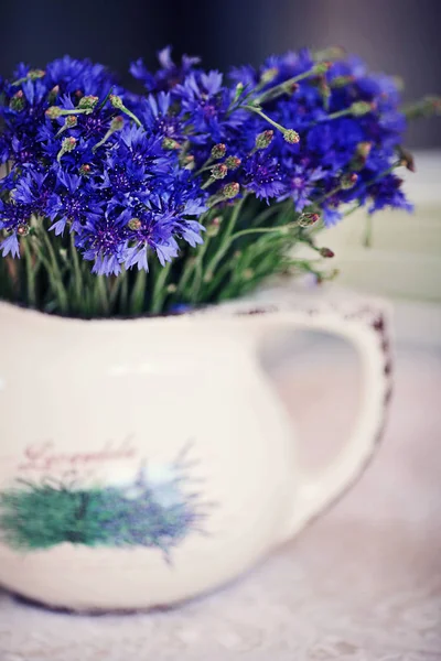Búzavirág a vázában Stock Kép