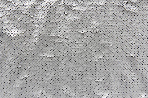 Silver Scales Texture — Stock Photo, Image