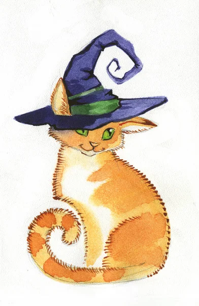 Kočka čarodějka v špičatým kloboukem — Stock fotografie