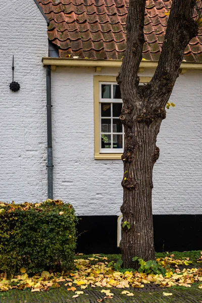 Fachadas de edifícios tradicionais holandeses em Leiden, Países Baixos — Fotografia de Stock