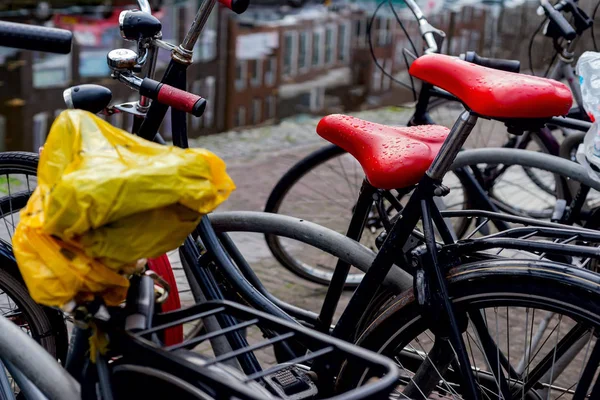 Yağmurlu bir günde ıslak bisikletler Leiden, Netherla sokaklarında