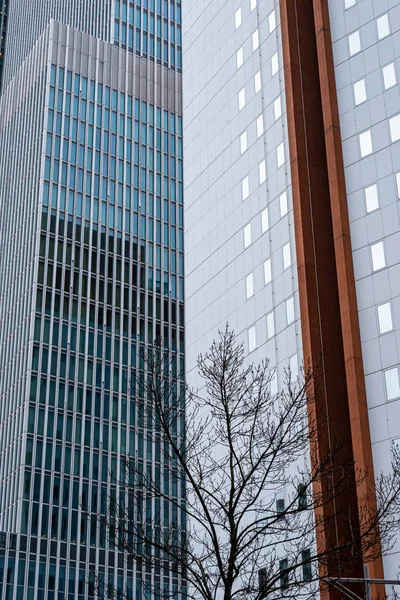 Krajobraz holenderskiego miasta Rotterdam, z nowoczesnym wieżowcem buildi — Zdjęcie stockowe