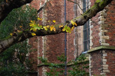 Pieterskerk Leiden 'da S' e adanmış geç dönem Gotik bir kilise.