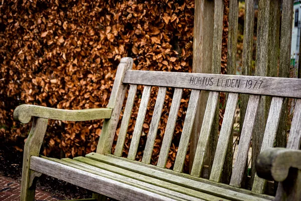 Januari 2020 Leiden Nederländerna Träbänk Botaniska Trädgården Grundad Omkring 1590 — Stockfoto