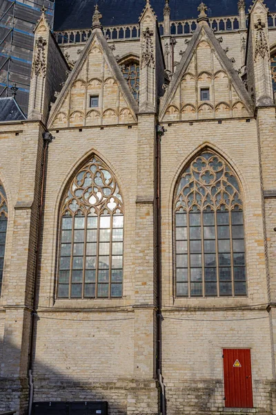 Wielki Kościół Breda Północny Brabant Holandia — Zdjęcie stockowe