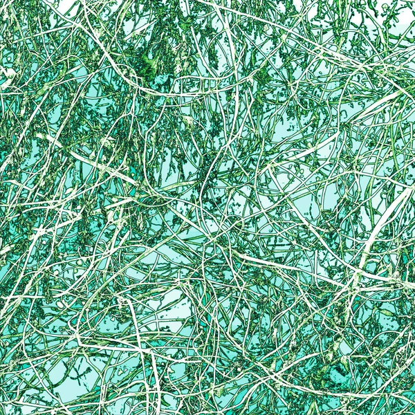 Abstrato Vine Tangle em fundo verde — Fotografia de Stock