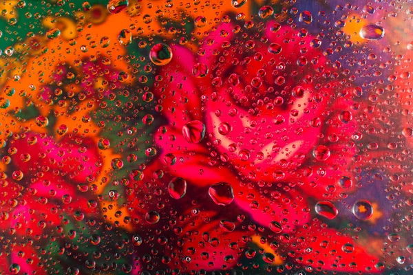 Abstrakte rote Rose Hintergrund mit Wassertropfen im Vordergrund — Stockfoto