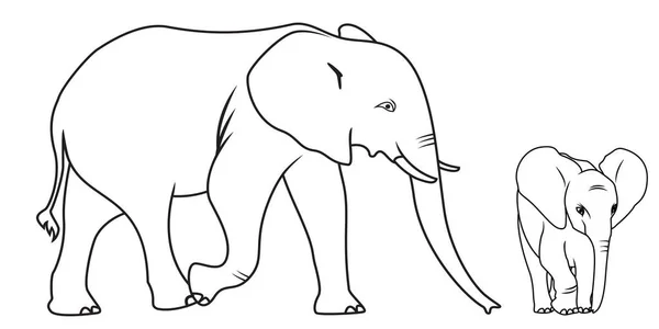 Coleção Elefante Dos Desenhos Animados Usado Para Colorir Livro — Vetor de Stock