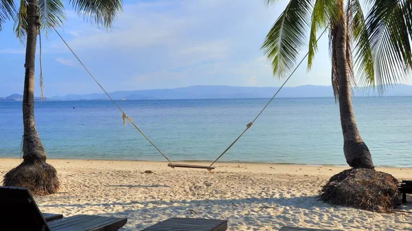 Töm Gunga Palmträdet Vid Sandtropisk Strand Thailand — Stockfoto