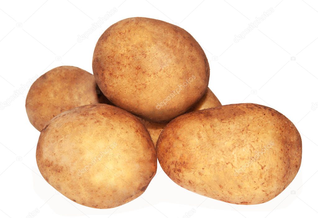 Potato tubers on a white background