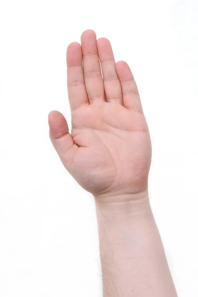 Handfläche männliche Hand auf weißem Hintergrund — Stockfoto