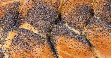 Haşhaş tohumlu challah pişiriyorum.