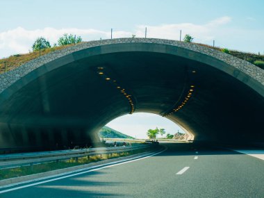 Köprü için hayvan yolda. Yeşil yol köprü