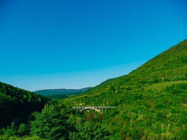 Araba köprü dağlarda ormandaki kemerli. Hırvatistan, n