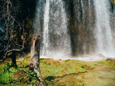 Şelale Milli Park Plitvice Gölleri, Hırvatistan. Waterfal