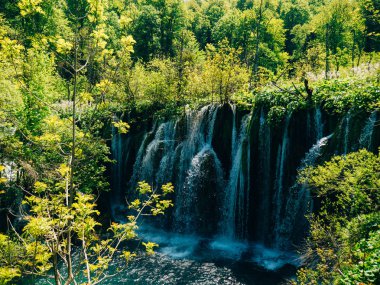 Şelale Milli Park Plitvice Gölleri, Hırvatistan. Waterfal