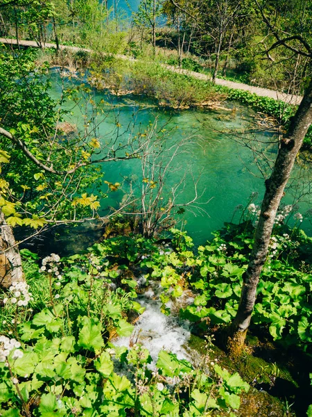Plitvice 호수, 크로아티아입니다. 국립 공원의 영토 — 스톡 사진