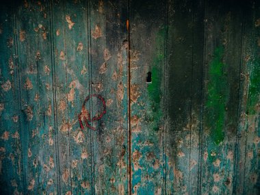 Yeşil kapı. Ahşap doku. Eski püskü, ışınlanmış boya