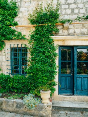 Yemyeşil bitki örtüsü, döşeli geçit ve Trsteno içinde botanik bahçesi pavyonu