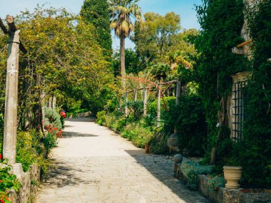 Yemyeşil bitki örtüsü, döşeli geçit ve Trsteno içinde botanik bahçesi pavyonu