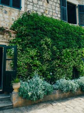 Yemyeşil bitki örtüsü, döşeli geçit ve Trsteno içinde botanik bahçesi pavyonu