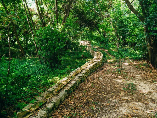 O caminho na floresta. A estrada que atravessa a floresta, o — Fotografia de Stock